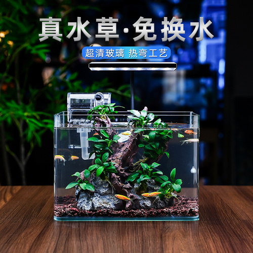 热弯玻璃鱼缸客厅小型水族箱桌面免换水金鱼斗鱼生态迷你鱼缸裸缸