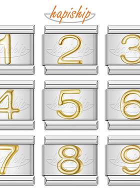 Hapiship模块手链金色数字礼物款