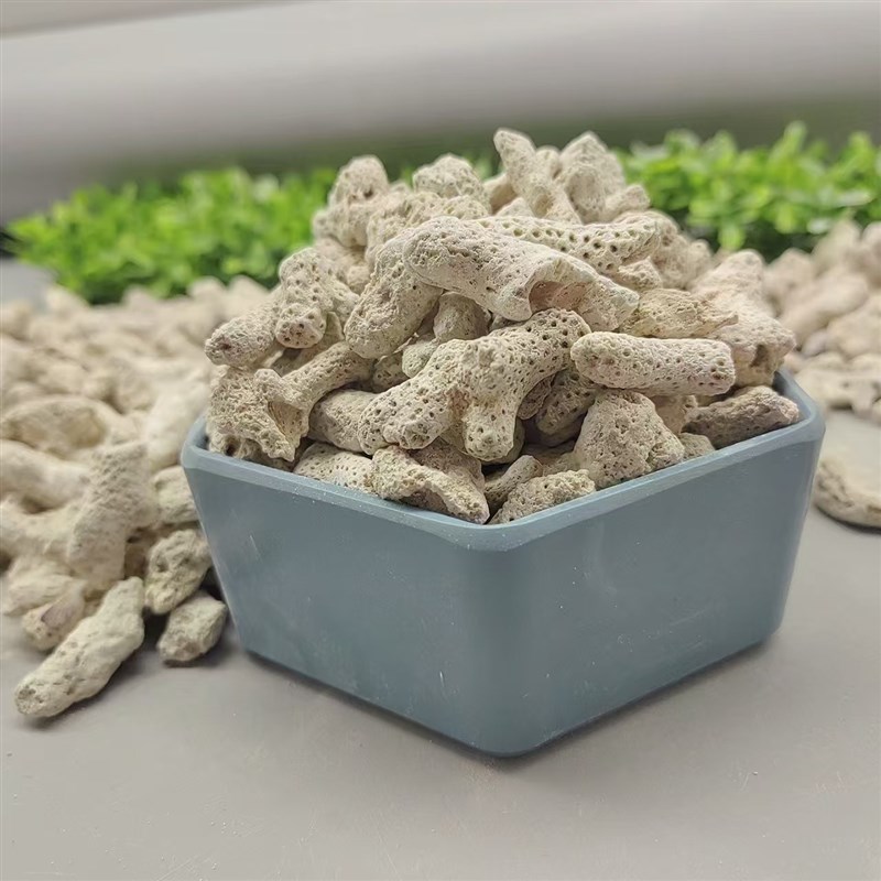 厂家供应 珊瑚砂 鱼缸造景水族过滤用珊瑚骨 海洋馆用 珊瑚石