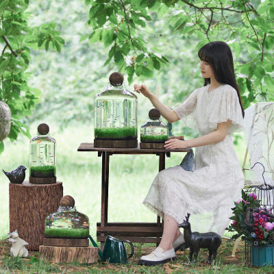 玻璃鱼缸鱼虾e水草自循环u微景观办公室迷你植物免换水打理生态鱼