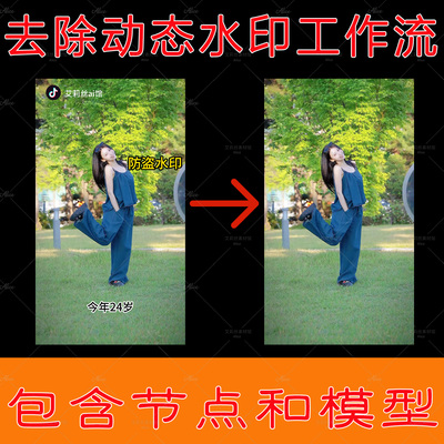 模型节点齐全，水印字幕一扫清