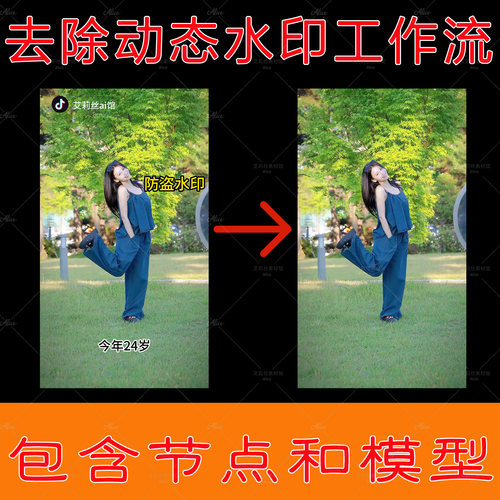 模型节点齐全，水印字幕一扫清