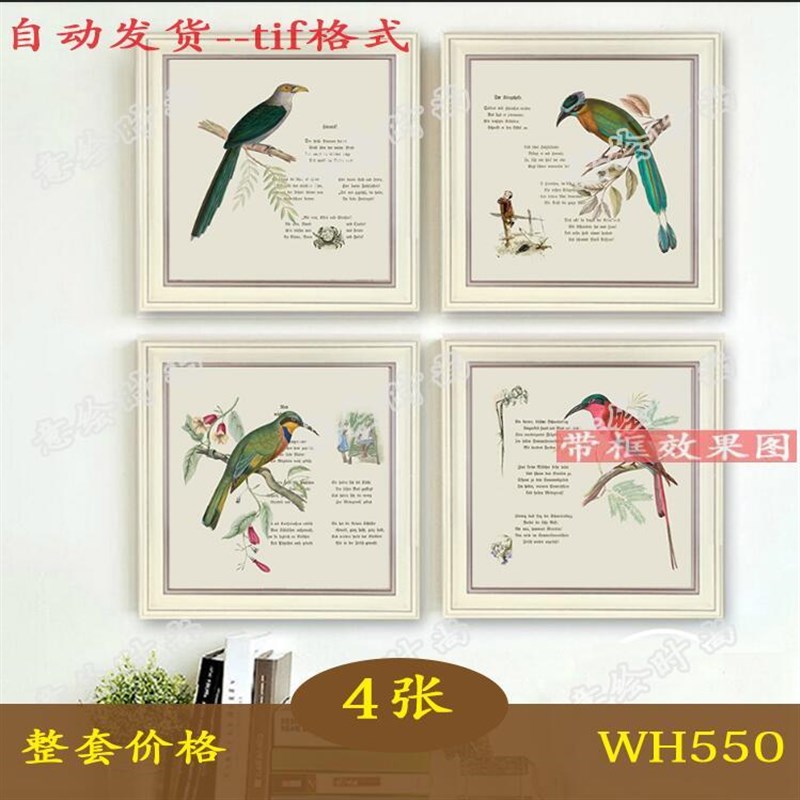 美式乡村装饰画客厅玄关挂画花鸟田园J装饰画微喷画芯素材图片