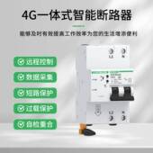 小型断路器不带屏4G EGC45 63GB一保体式 关带电护断路WKJ器漏2网P