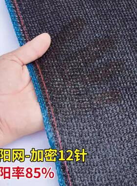 黑色遮阳抗老化网加厚加密遮防晒网大棚农用网黑纱ADO光139511710