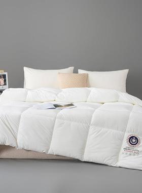 约简秋冬FDV加厚保暖春单双被人被子民宿白色芯床上用品厂秋家