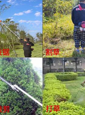 热枝汽卖油动力多功能五合一割机高枝锯高枝剪修剪草枝DPM打草机