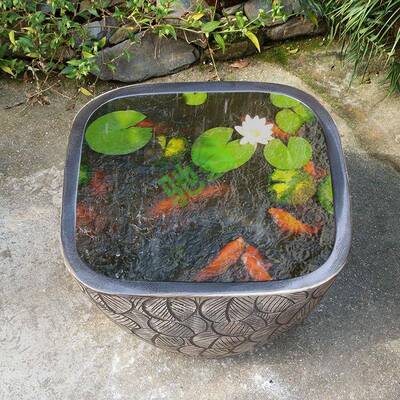 yu莲t景镇德陶瓷鱼缸睡莲盆荷缸花碗缸锦鲤缸乌龟缸大水缸DFO盆庭