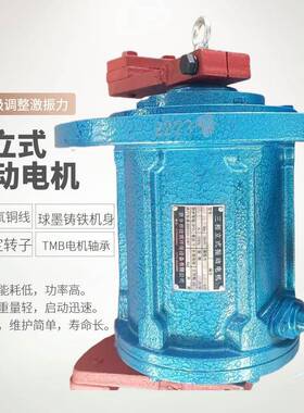 YZ电UL-4震动筛机国标全铜立v式电振动机三相3QMP80v220研磨机