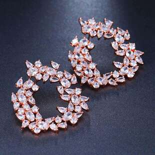 欧美时尚简约树叶橄榄枝花环耳环女式微镶嵌铜锆石饰品厂家直销