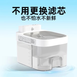 净污分离恒温猫咪饮水机自u动循环流动狗狗喝水器不插电宠物饮水