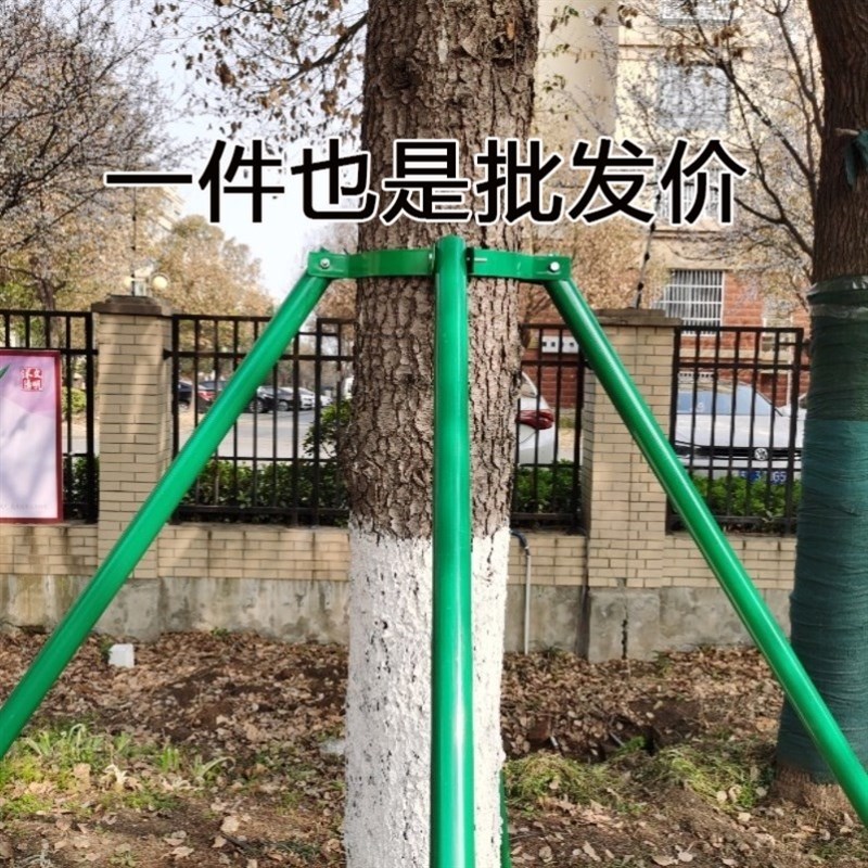 固定器杉木松木杨木棍稳定支架树木支撑架防风工程园林绿化