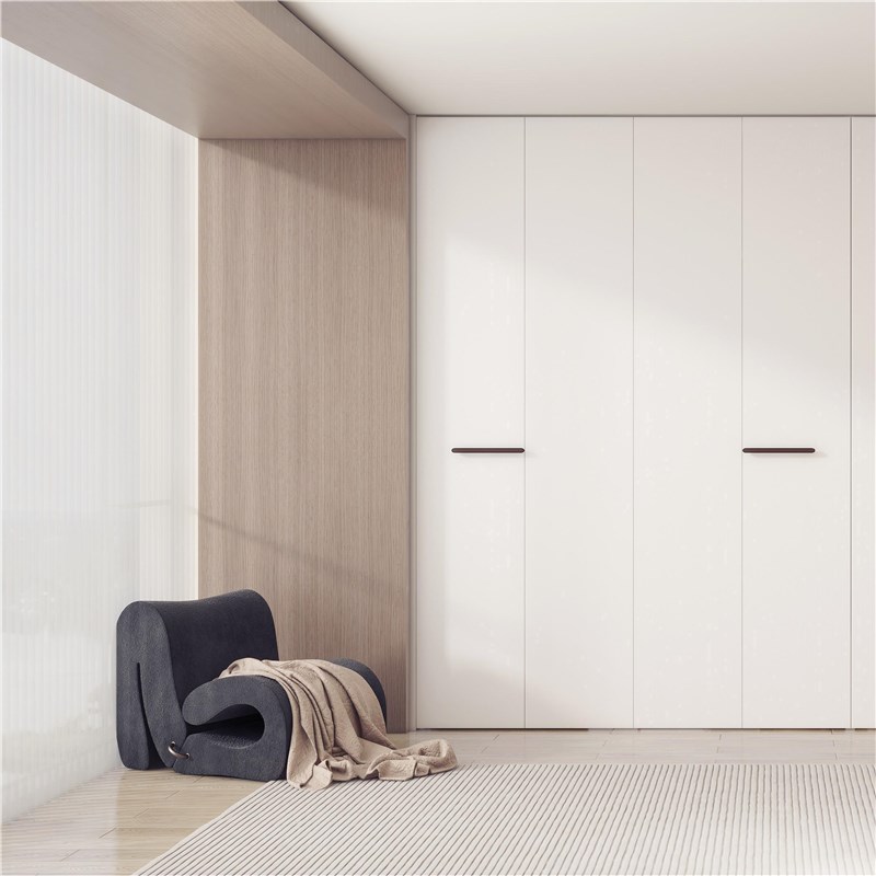 舍尔弗金属衣柜 设计意向金 定制衣柜 金属衣柜