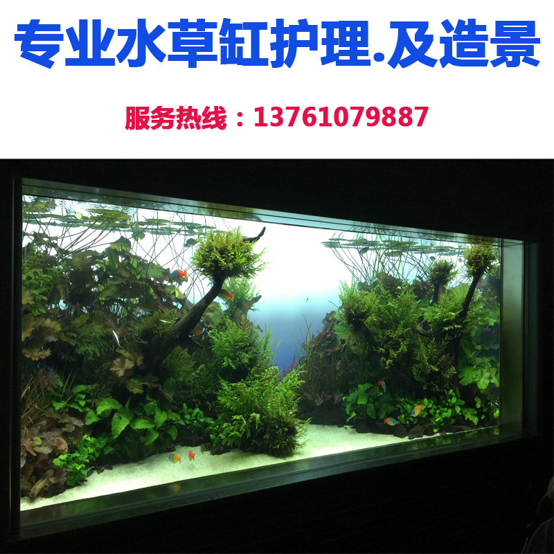 新品上海海水鱼缸护理及r安装上门服务养护鱼缸.维护造景鱼缸包邮