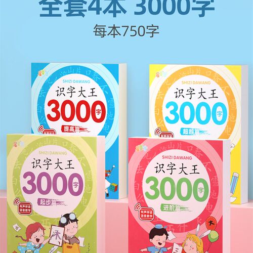 新品儿童3000字识字看图大王卡片D学前启蒙早教书幼儿园幼儿认字