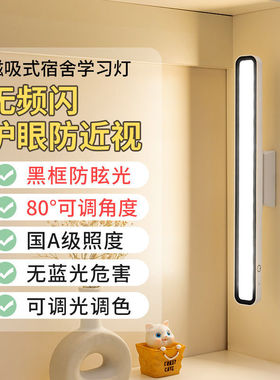 极速小台灯学习专用儿童护眼灯书桌防近视insN风吸顶灯家用usb阅