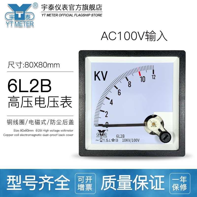 6L2B交流高压电压表3kv 6kv 10kv 12kv 40kv输入100v cp80 be80