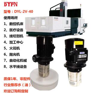 DYPN40米扬程2V40750W电动立式高压设备泵多级不锈钢离心水泵