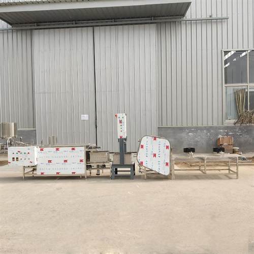 小型豆腐皮机全套设备  双层折叠豆腐皮视屏 简单易学早餐店