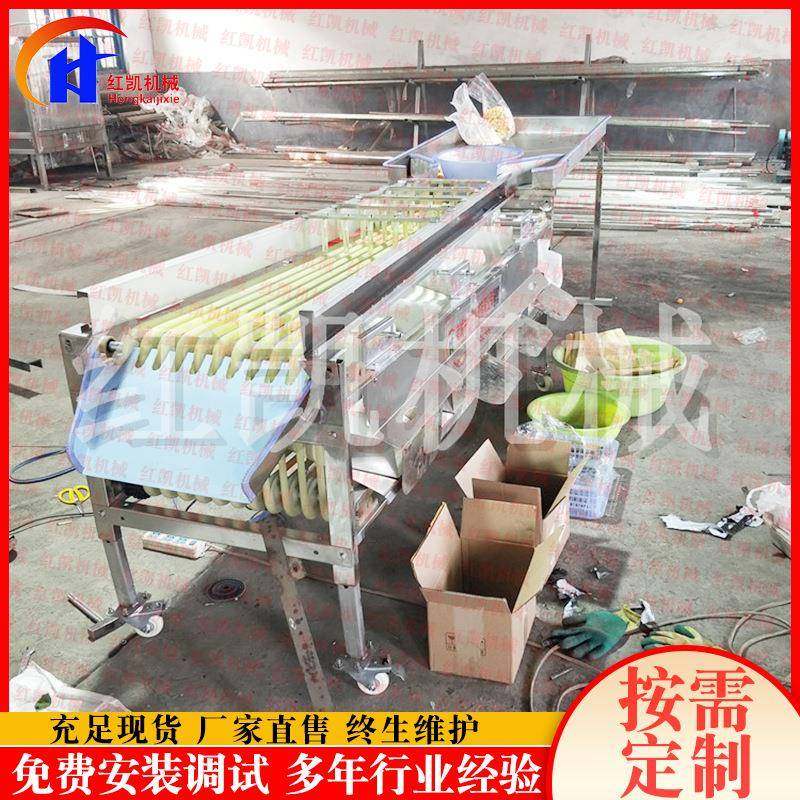 厂家供应轨道式脐橙选果机 果蔬分选机设备 多功能分选机设备,清洗/食品/商业设备,果蔬加工设备,淘宝优惠券,粉丝福利购,淘宝优惠卷