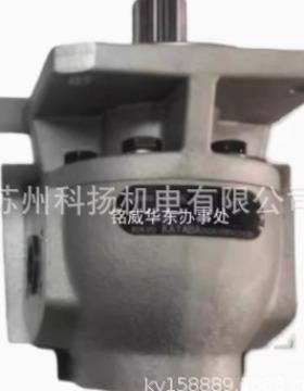 TOYKO KAYABA齿轮油泵P20350A P20200C P20350C P20400A P20200A