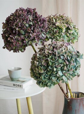 绣球干花高级感真花装饰摆件云南高F端干枝树枝纯天然植物拍照道