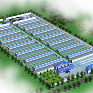 养殖场设计案例效果图 加工厂鸟瞰图 水产加T工厂 厂区鸟瞰图
