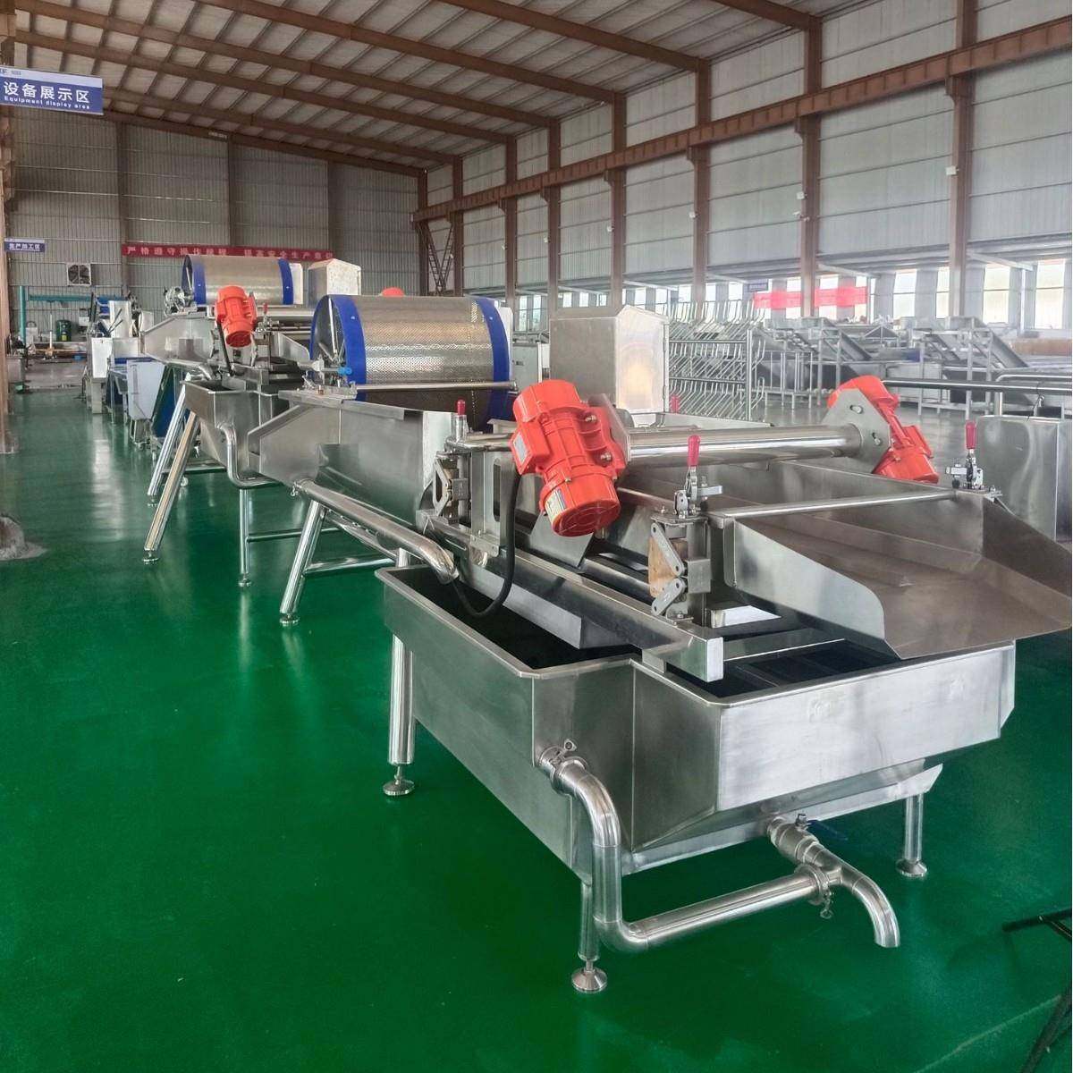 旋流清洗机水流大小可调式洗菜机涡流洗蔬菜设备