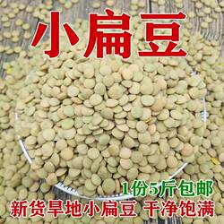 小扁豆5斤 农家山地自种小扁豆甘肃会宁扁豆西北特产五谷杂粮半斤
