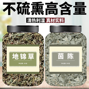 地锦草茵陈茶中药材正品官方旗舰店新鲜野生白蒿泡水的功效与作用