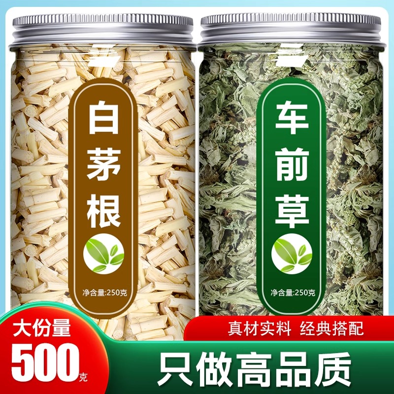 白茅根车前草袋泡茶中药材正品野生干货官方旗舰店新鲜草药泡水喝