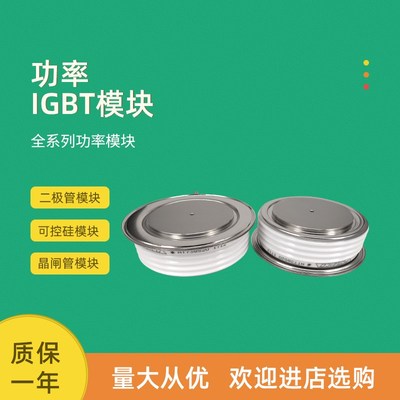 可控硅晶闸管cT1219N26TOF T1219N28TOF T1218N20TOF T1218N22TOF