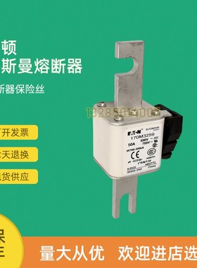 全新快速熔断器保险170M3258 170M3259 1K70M3260 170M3261