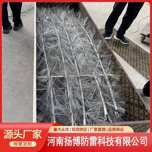35kV输电线路散状避雷针 置拒雷器防御系统 导体多短针雷电放散装
