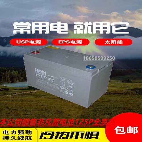 非凡蓄电池12V100AH铅酸FIAMM12SP100直流屏UPSEPS太阳能储能电源