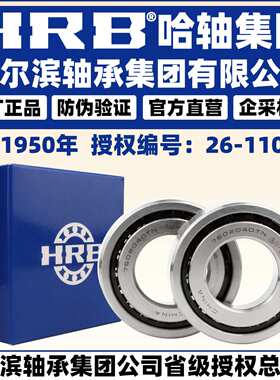 HRB 哈尔滨轴承 7602030 7602035 TN P5 DB DT DF 两联配对