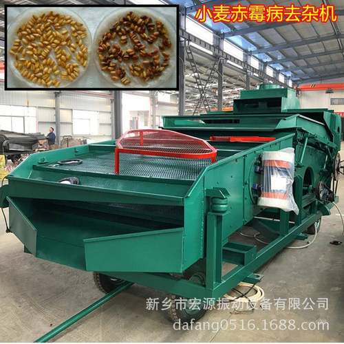 小麦捂籽 霉变粒清理机 大型振动比重筛 风选除尘 净度98% 视频