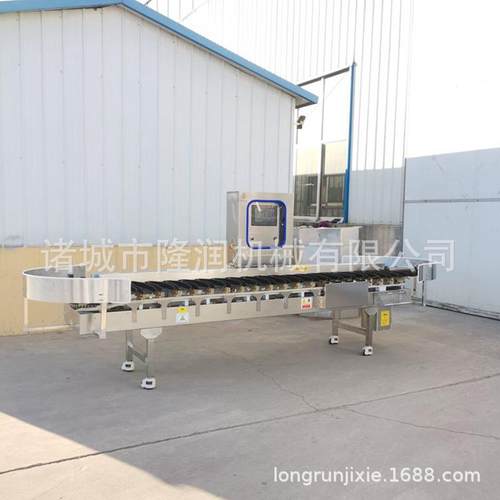 全自动鲅鱼重量分拣机鲅鱼带鱼称重分拣机产量大分选速度快