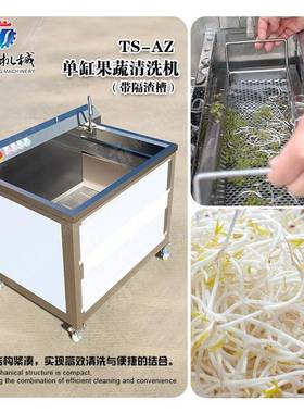 机械供应单缸隔渣款果蔬清洗机 小型商用气泡洗菜机