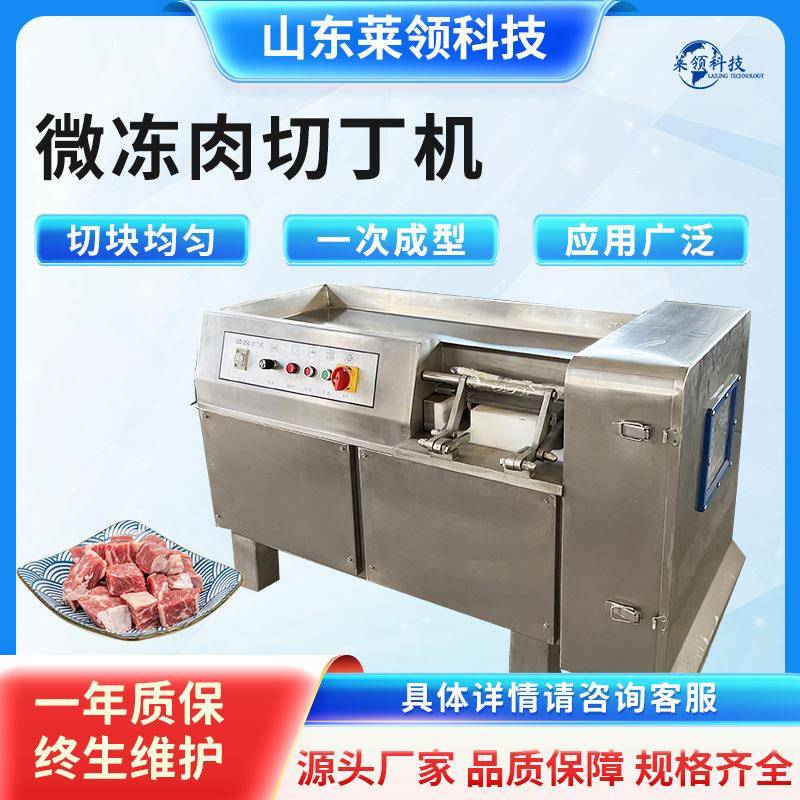 商用微冻鸡胸肉切丁机 大型立式牛肉切丁机器 不锈钢肉制品切粒机
