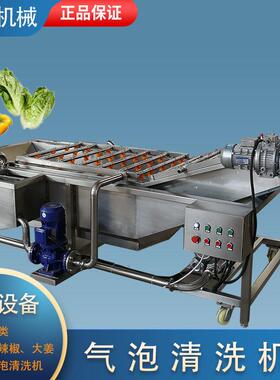 果蔬气泡清洗机 全自动大型商用连续叶类洗菜机 压喷淋海鲜清洗