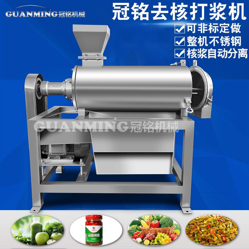 现货供应杨桃打浆机 水果清洗榨汁流水线 商用蒲桃去核打浆机