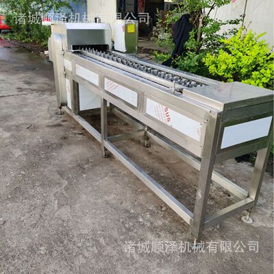 甜玉米切段机 火锅玉米切段机 顺泽 玉米切段机 玉米加工成套设备