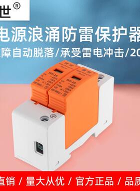 工厂直销浪涌保护器2P20KA 电涌保护器电箱电源防雷模块DS-20