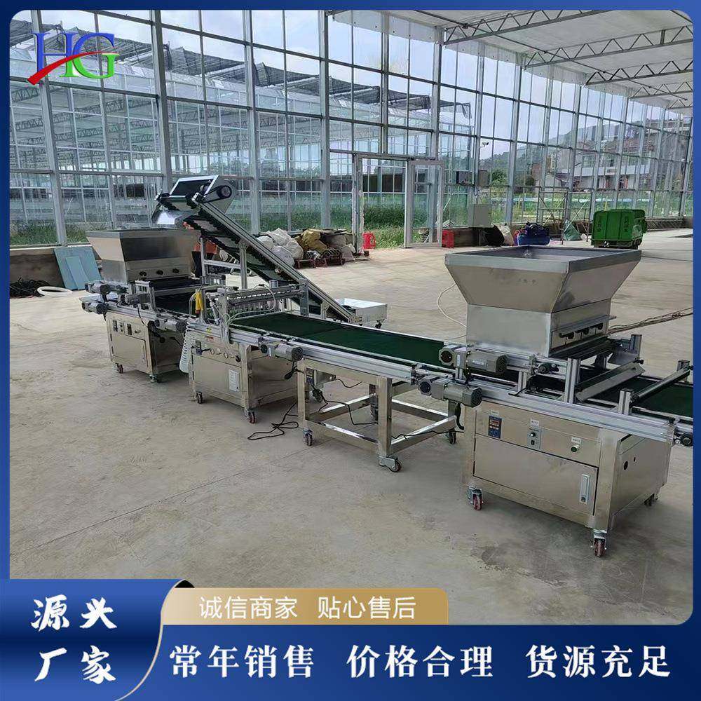 全自动穴盘育苗机蔬菜种子育苗盘播种机铺土压穴播种一体机,农机/农具/农膜,播种栽苗器/地膜机,淘宝优惠券,粉丝福利购,淘宝优惠卷