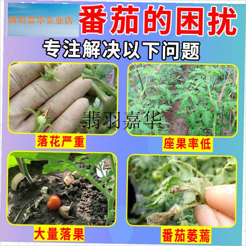 西红柿点花药小番茄坐果灵催花授粉药保花M保果防落果卷叶专用神,