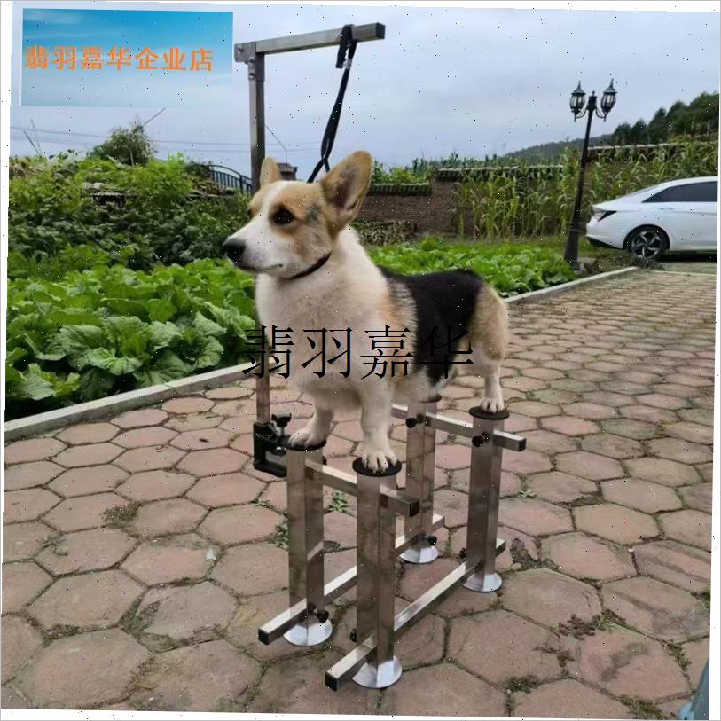 宠物站桩器狗狗梅花桩站姿训练弓背踏腰犬舍拍照U神器美容美发医,