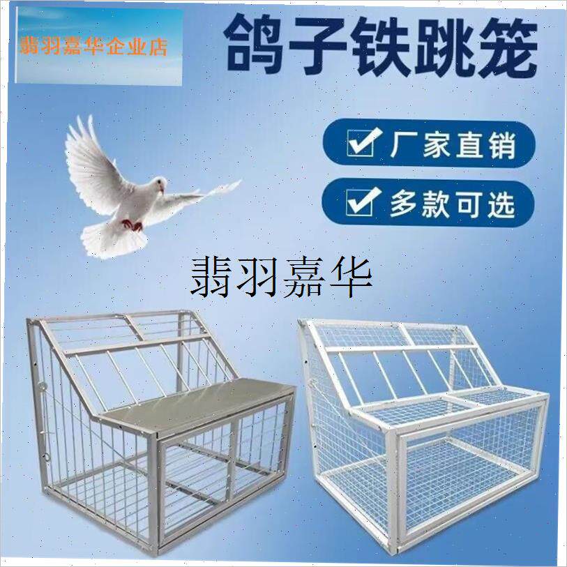 鸽子跳笼只进不出跳门鸽舍平台踏板进口放飞门防鼠猫.信鸽用品用,