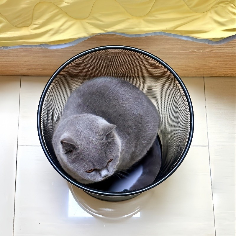 猫咪烘干b箱家用静音吹干神器洗澡专用防抓吹风机加厚铁网宠物通,