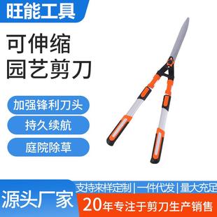 两用鸟嘴家用草坪剪修花修枝剪户外园林不锈钢果枝树枝剪